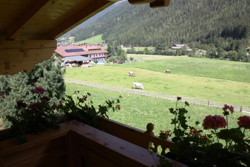 Landhaus Alpensonne Neustift im Stubaital Exterior foto