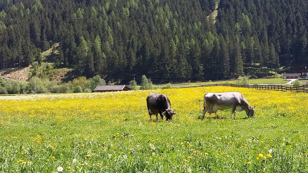 Landhaus Alpensonne Neustift im Stubaital Exterior foto